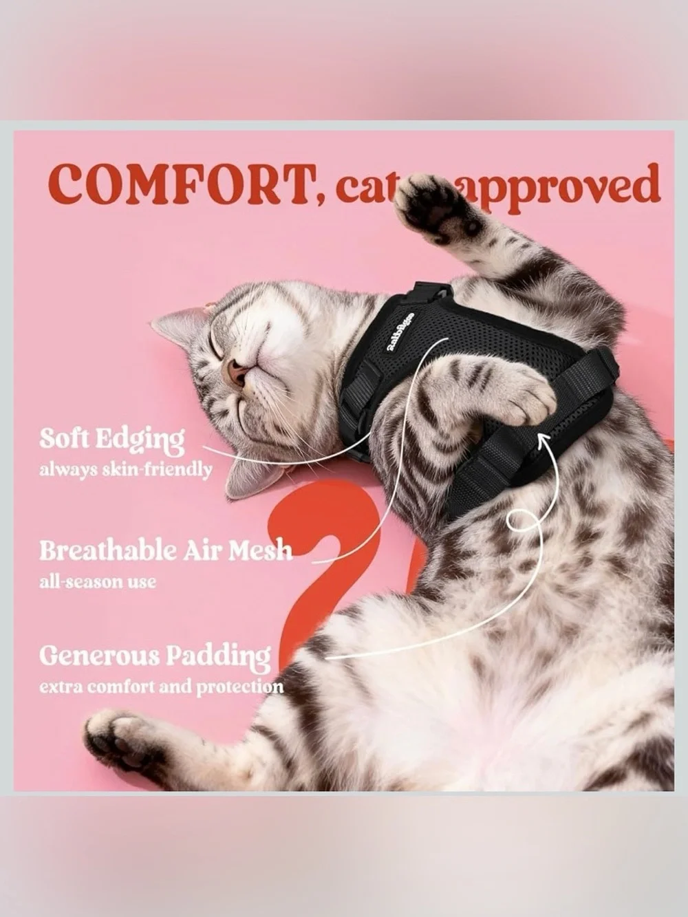 NWOT BLACK CAT HARNESS SIZE XXS